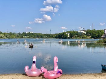 Ducks floating on lake against sky