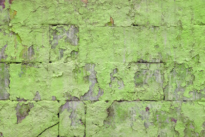 Peeled off old green paint on flat rough brick wall surface - full frame background and texture