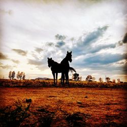 Silhouette horse standing on field against sky