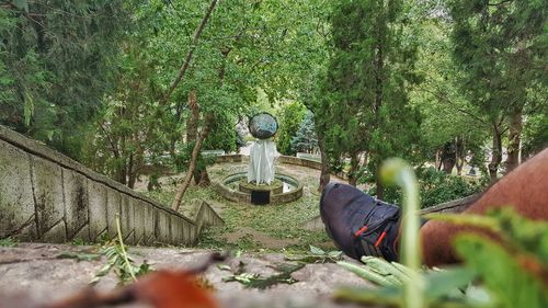 Man sitting by plants in forest