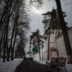 Trees and plants in park during winter