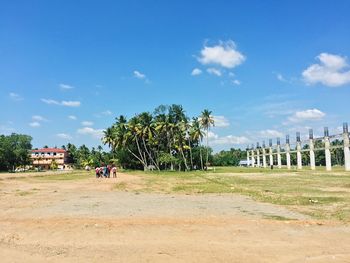 People walking on grassy field