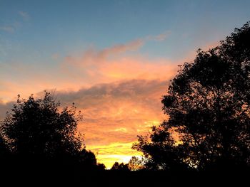 High section of silhouette trees against scenic sky