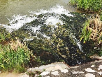 High angle view of water flowing through rocks