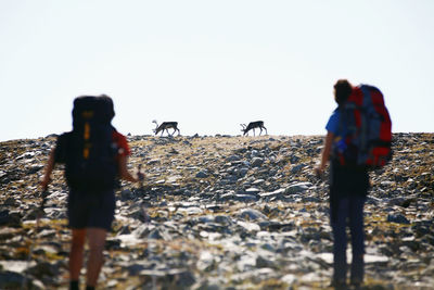 People walking on beach against clear sky