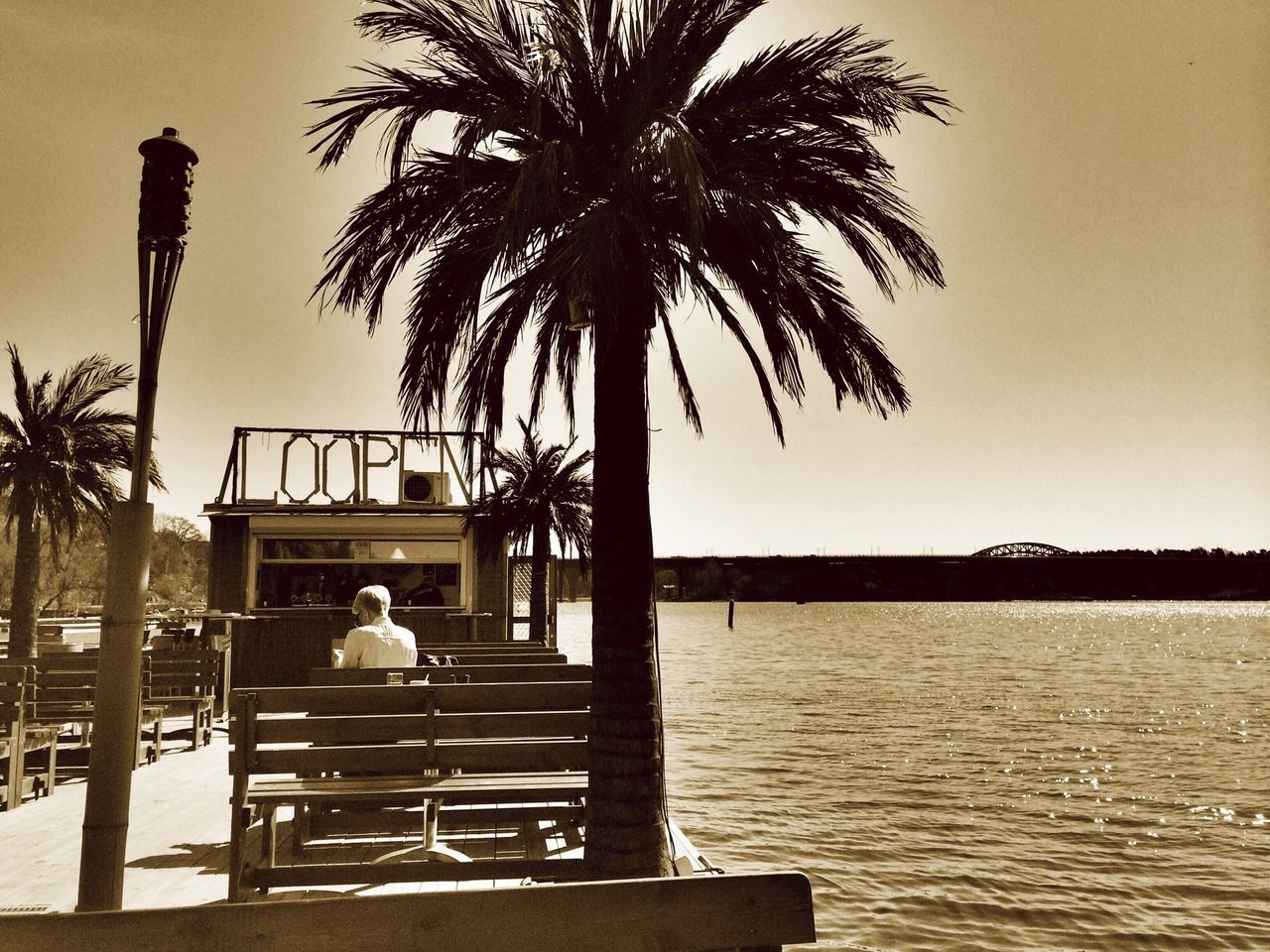 palm tree, water, tree, sea, men, lifestyles, leisure activity, sitting, clear sky, beach, person, sky, tranquil scene, relaxation, tranquility, bench, silhouette, nature