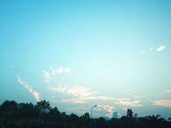 Low angle view of silhouette trees against sky