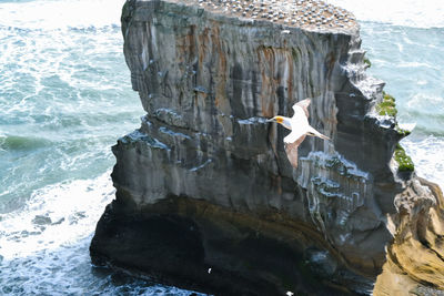 View of rock formation in sea