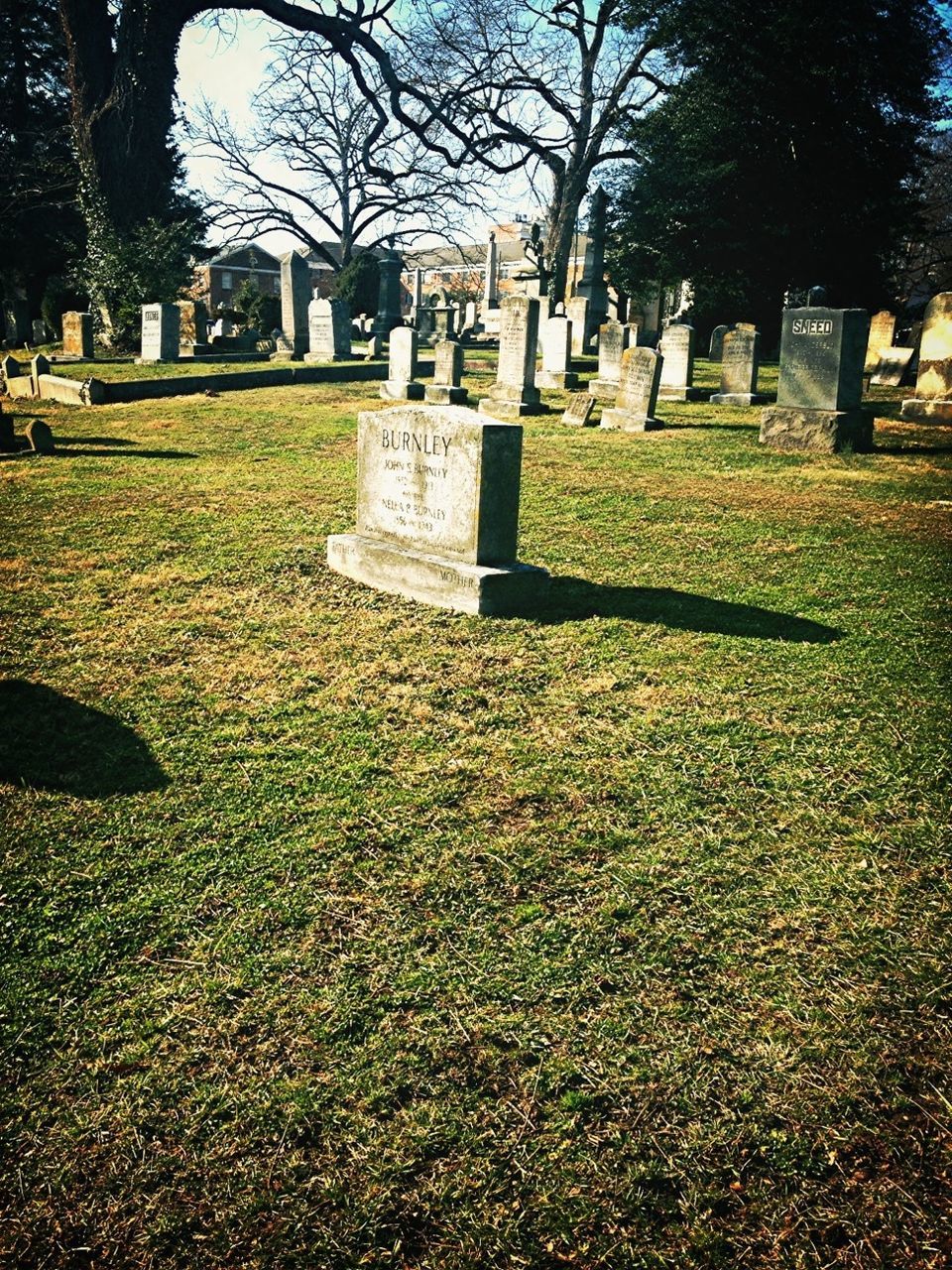 tree, grass, cemetery, tombstone, park - man made space, built structure, day, outdoors, lawn, religion, building exterior, no people, architecture, park, death, sunlight, human representation, nature, text, shadow