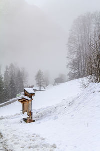 Snow covered field by trees and mountains during winter