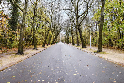 Empty road amidst trees in forest