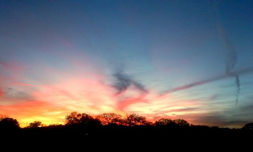 Silhouette of trees at sunset