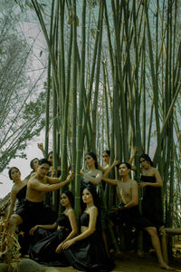 People sitting on bamboo plant in forest