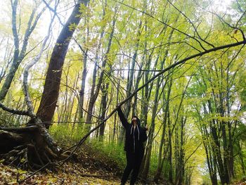 Trees growing in forest