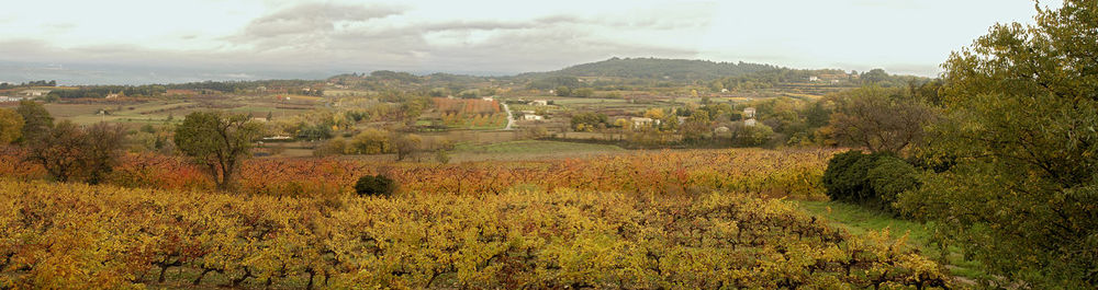 Scenic view of field against cloudy sky