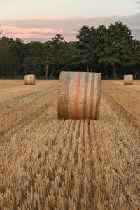 Hay bales on field against sky