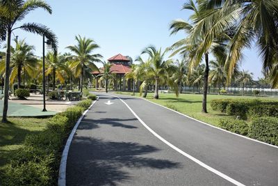 Road by palm trees against sky