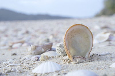sand