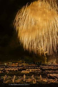 Firework display at night