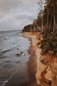 Scenic view of beach against sky