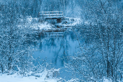 Aerial view of frozen swimming pool during winter