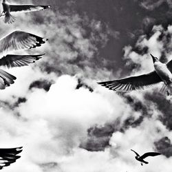 Low angle view of birds flying against cloudy sky