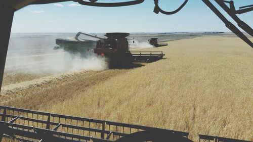 Combine harvester on field