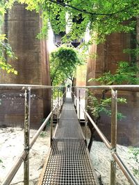 Footbridge amidst trees in forest