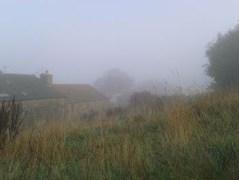View of field in foggy weather