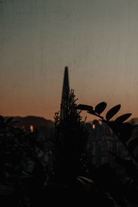 Close-up of silhouette plant against sky at sunset