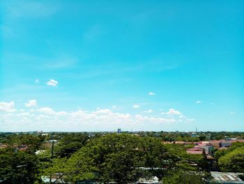 Trees and city against blue sky