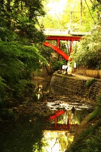 Bridge over river