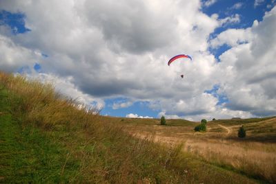 Bird flying over landscape