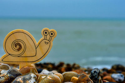 Snail on a beach