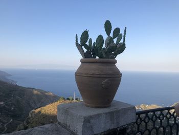 Potted plant on sea shore against clear sky