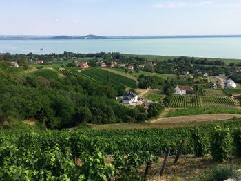 High angle view of farm by sea