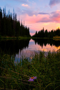Scenic view of lake against sky during sunset