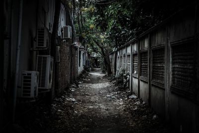 Empty alley amidst buildings in city