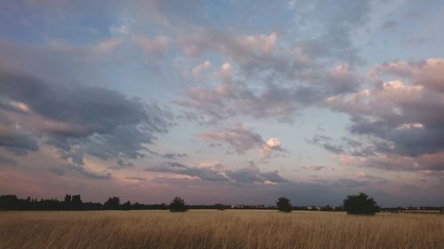 Scenic view of field against sky during sunset