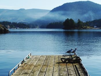 Birds perching on pier over lake against sky