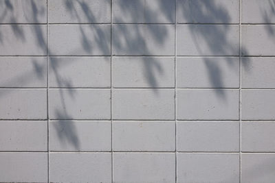 Full frame shot of tiled floor