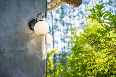 Low angle view of light bulb hanging on wall