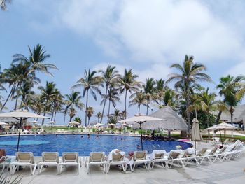 Chairs and palm trees on beach against sky