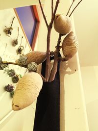 Close-up of clothes hanging on tree at home