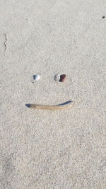 High angle view of crab on sand