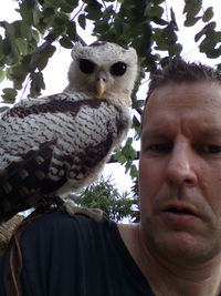 Close-up portrait of owl perching against sky