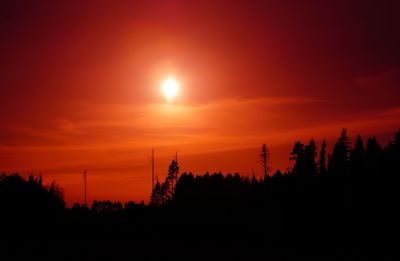 Silhouette trees against orange sky