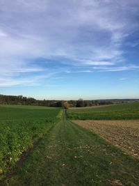 Scenic view of agricultural field against sky