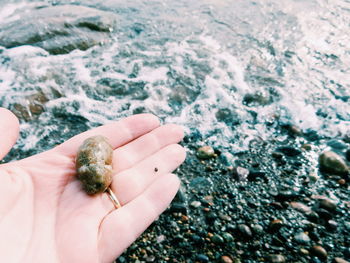 Close-up of hand holding pebble