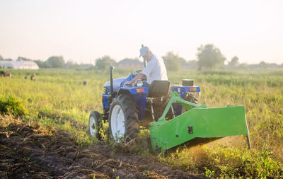 Farmer on a tractor digs out potatoes from soil. extract root vegetables to surface. farming